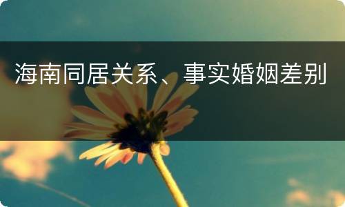 海南同居关系、事实婚姻差别