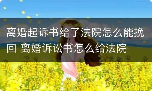离婚起诉书给了法院怎么能挽回 离婚诉讼书怎么给法院