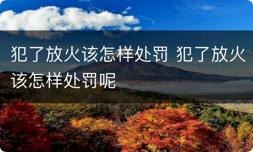 犯了放火该怎样处罚 犯了放火该怎样处罚呢