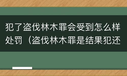 犯了盗伐林木罪会受到怎么样处罚（盗伐林木罪是结果犯还是行为犯）