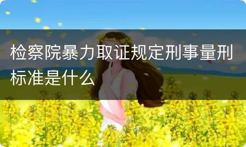 检察院暴力取证规定刑事量刑标准是什么