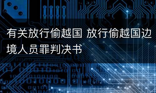 有关放行偷越国 放行偷越国边境人员罪判决书