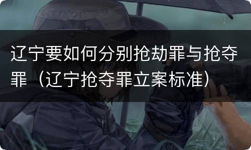 辽宁要如何分别抢劫罪与抢夺罪（辽宁抢夺罪立案标准）