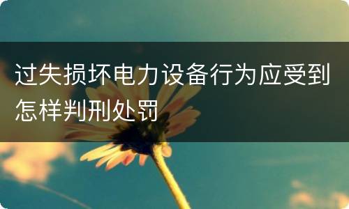 过失损坏电力设备行为应受到怎样判刑处罚