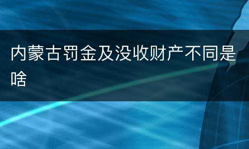 内蒙古罚金及没收财产不同是啥