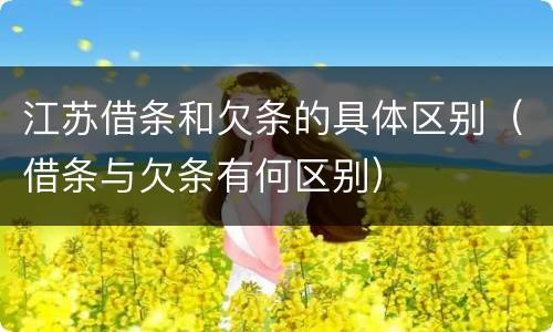 江苏借条和欠条的具体区别（借条与欠条有何区别）