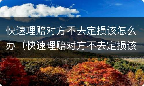 快速理赔对方不去定损该怎么办（快速理赔对方不去定损该怎么办理）