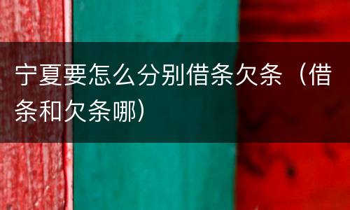 宁夏要怎么分别借条欠条（借条和欠条哪）