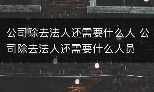 公司除去法人还需要什么人 公司除去法人还需要什么人员