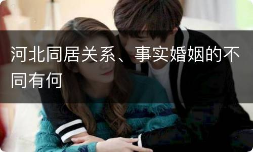 河北同居关系、事实婚姻的不同有何
