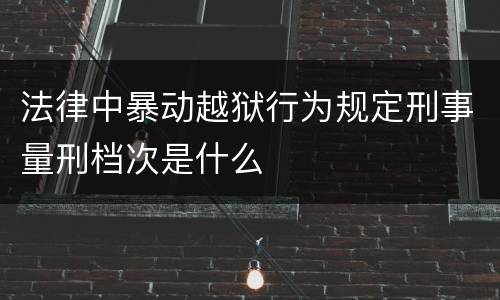 法律中暴动越狱行为规定刑事量刑档次是什么