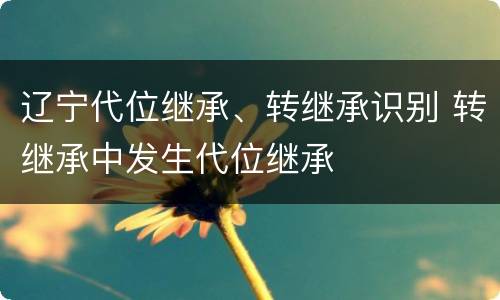 辽宁代位继承、转继承识别 转继承中发生代位继承