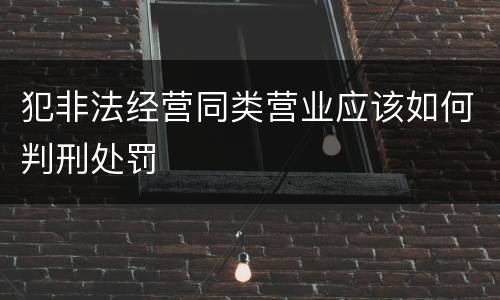 犯非法经营同类营业应该如何判刑处罚