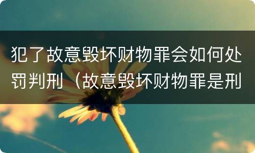 犯了故意毁坏财物罪会如何处罚判刑（故意毁坏财物罪是刑事案件吗）