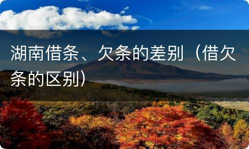 湖南借条、欠条的差别（借欠条的区别）