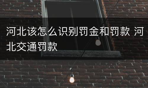 河北该怎么识别罚金和罚款 河北交通罚款