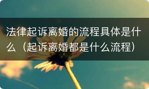 法律起诉离婚的流程具体是什么（起诉离婚都是什么流程）