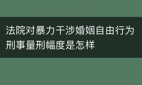 法院对暴力干涉婚姻自由行为刑事量刑幅度是怎样