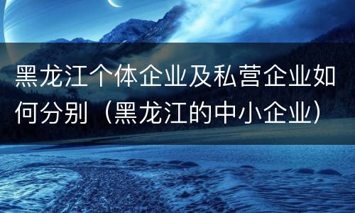 黑龙江个体企业及私营企业如何分别（黑龙江的中小企业）
