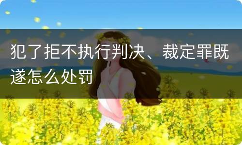 犯了拒不执行判决、裁定罪既遂怎么处罚