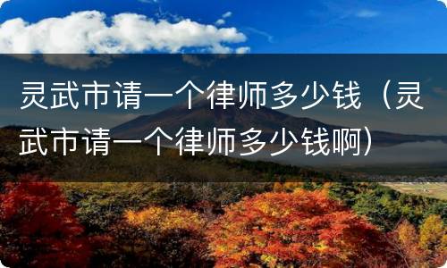 灵武市请一个律师多少钱（灵武市请一个律师多少钱啊）