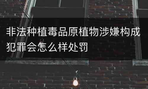 非法种植毒品原植物涉嫌构成犯罪会怎么样处罚