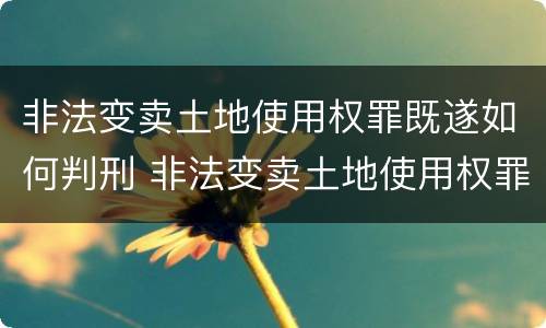 非法变卖土地使用权罪既遂如何判刑 非法变卖土地使用权罪既遂如何判刑