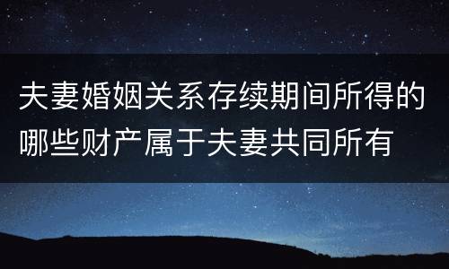 夫妻婚姻关系存续期间所得的哪些财产属于夫妻共同所有