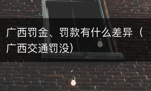 广西罚金、罚款有什么差异（广西交通罚没）