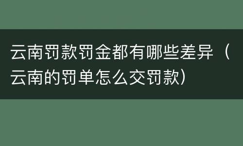 云南罚款罚金都有哪些差异（云南的罚单怎么交罚款）