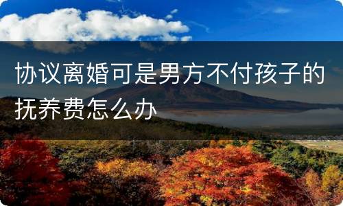 协议离婚可是男方不付孩子的抚养费怎么办