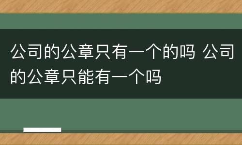 公司的公章只有一个的吗 公司的公章只能有一个吗