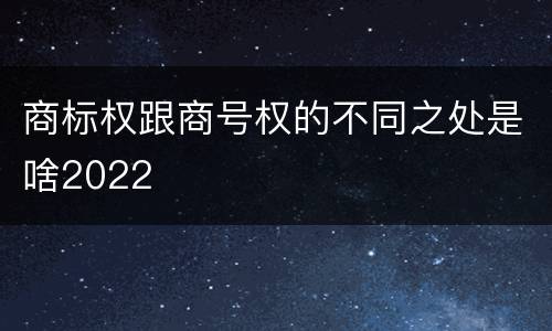 商标权跟商号权的不同之处是啥2022