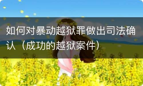 如何对暴动越狱罪做出司法确认（成功的越狱案件）