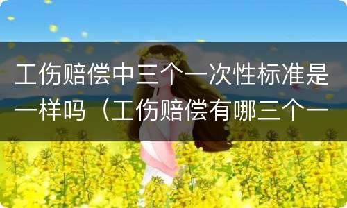 工伤赔偿中三个一次性标准是一样吗（工伤赔偿有哪三个一次性）