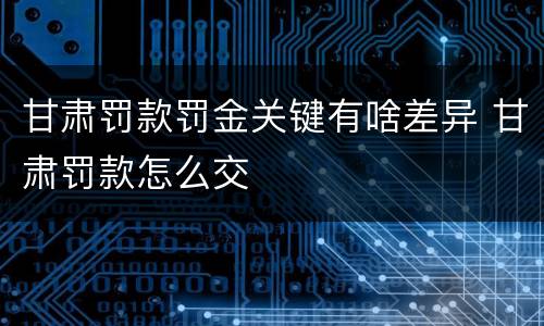 甘肃罚款罚金关键有啥差异 甘肃罚款怎么交
