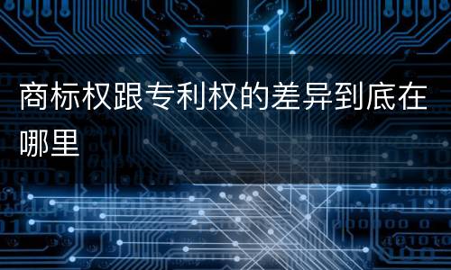 商标权跟专利权的差异到底在哪里