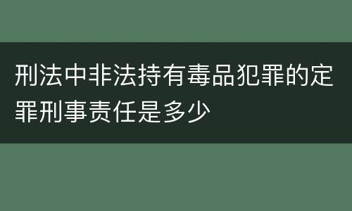刑法中非法持有毒品犯罪的定罪刑事责任是多少