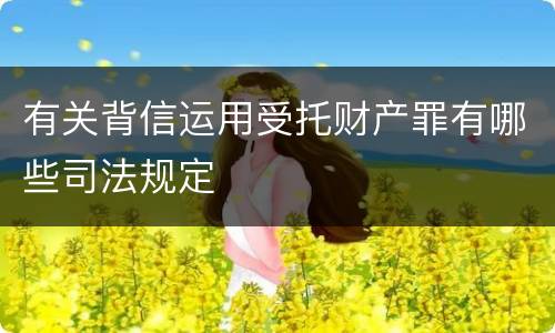 有关背信运用受托财产罪有哪些司法规定