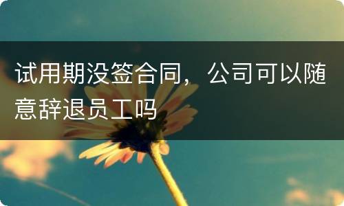 试用期没签合同，公司可以随意辞退员工吗