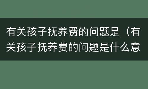 有关孩子抚养费的问题是（有关孩子抚养费的问题是什么意思）