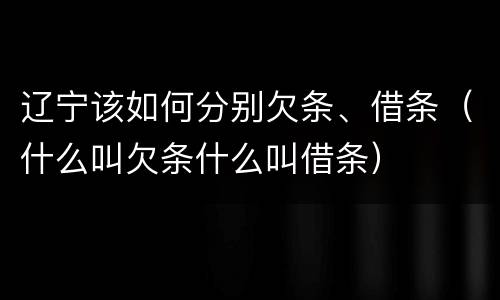 辽宁该如何分别欠条、借条（什么叫欠条什么叫借条）