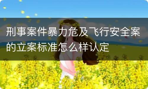 刑事案件暴力危及飞行安全案的立案标准怎么样认定