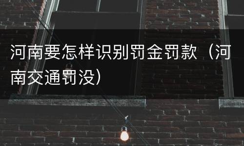 河南要怎样识别罚金罚款（河南交通罚没）