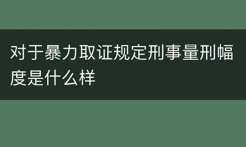 对于暴力取证规定刑事量刑幅度是什么样