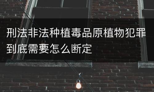 刑法非法种植毒品原植物犯罪到底需要怎么断定
