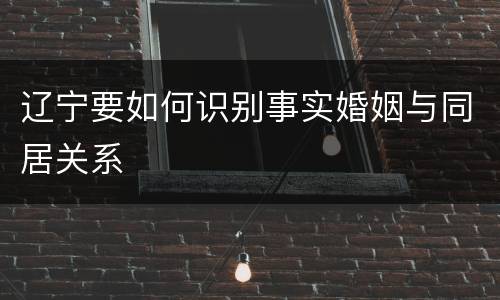 辽宁要如何识别事实婚姻与同居关系