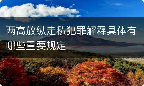 两高放纵走私犯罪解释具体有哪些重要规定