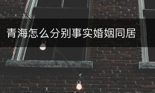 青海怎么分别事实婚姻同居
