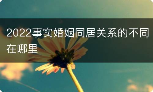 2022事实婚姻同居关系的不同在哪里